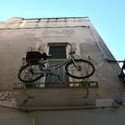 Monopoli - Bicycle