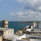 Monopoli