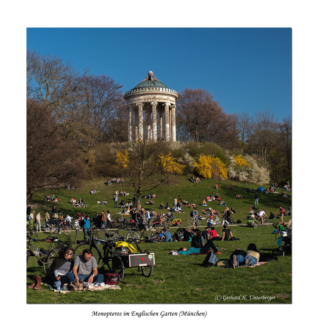 Monopterus im Englischen Garten