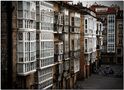 Monotonía de lluvia tras los cristales de groc 