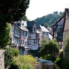 Monreal (Eifel) (1)