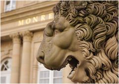 Monrepos Lion