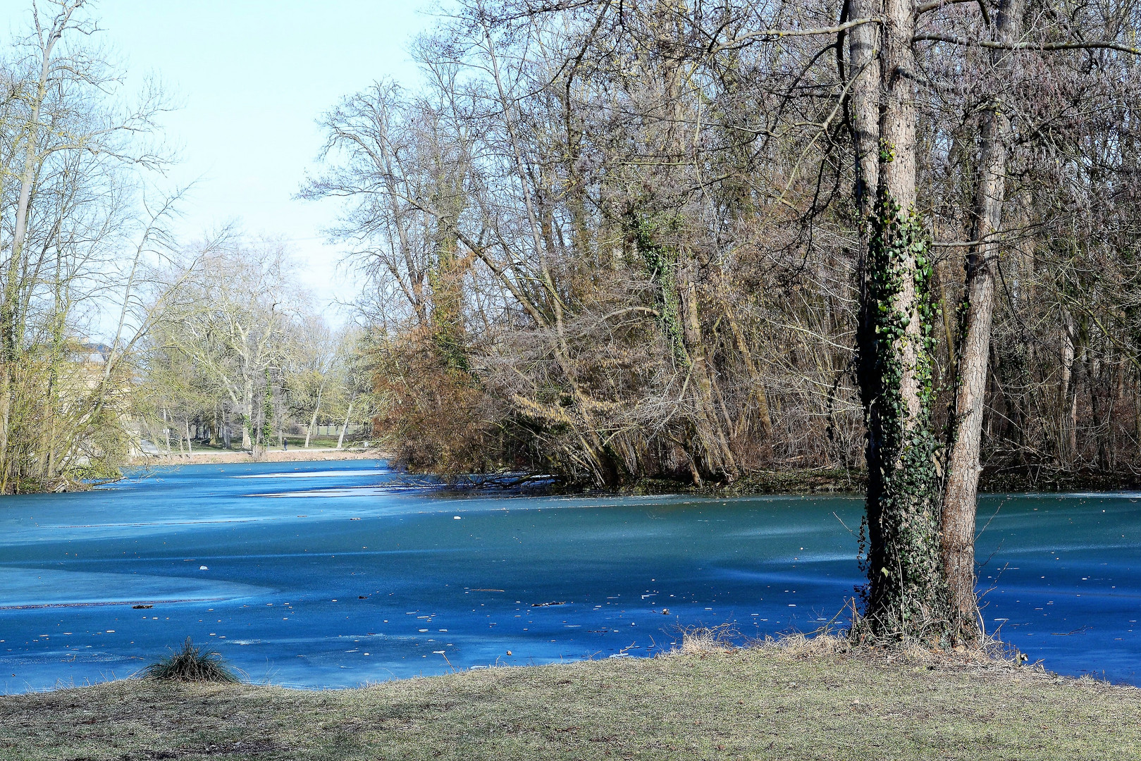 Monrepos - Schlosspark - 03-03-2018