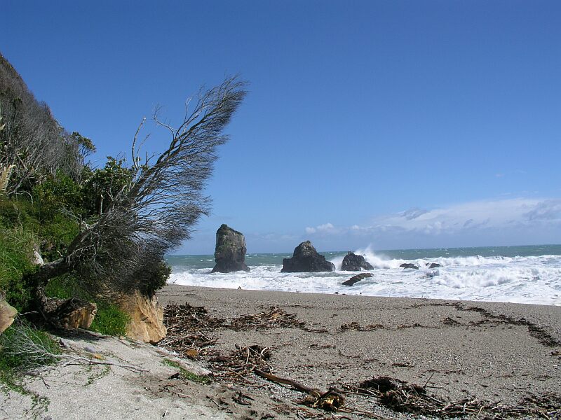 Monroe Beach