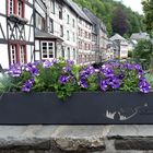 Monschau