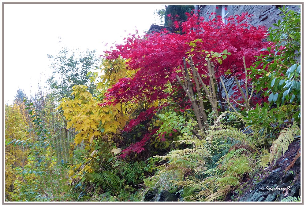 Monschau - Herbstzauber