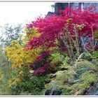 Monschau - Herbstzauber