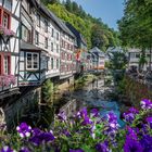 Monschau im Eifel Nationalpark