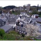 Monschau (Nordeifel) - Überblick