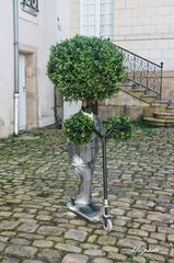 Monsieur Buisson 