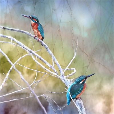 Monsieur et Madame Martin