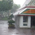 Monsoon 2005