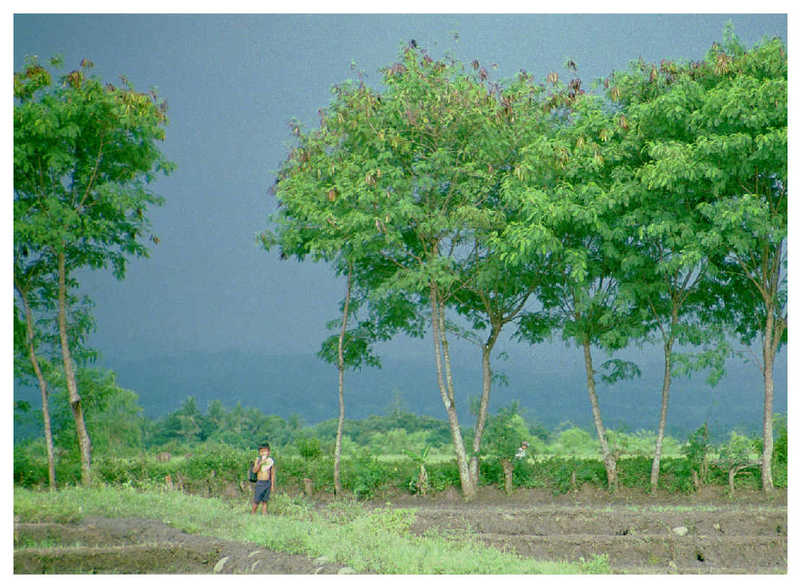 Monsoon - Before the Storm