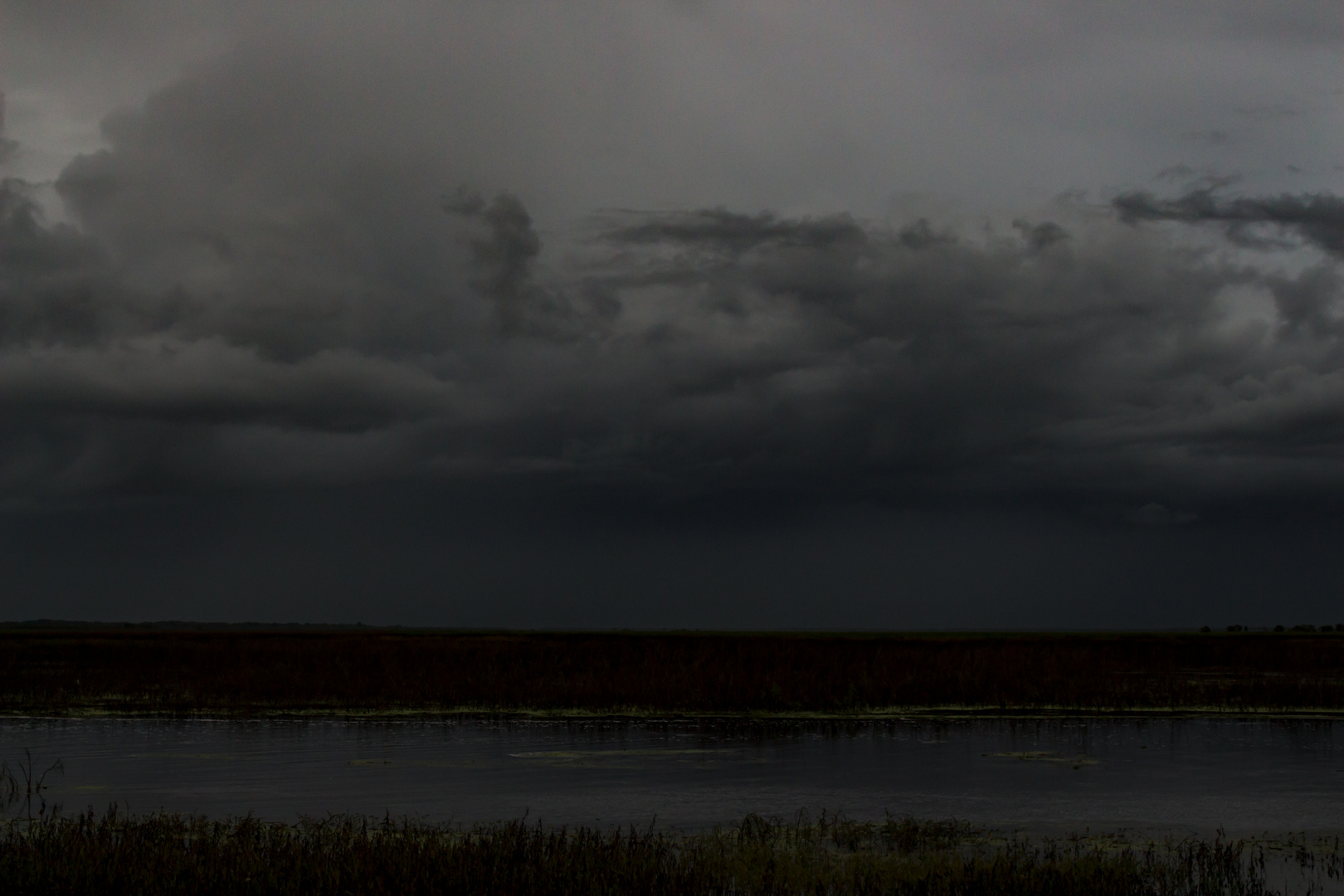 Monsoon Over The Wetlands