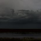 Monsoon Over The Wetlands