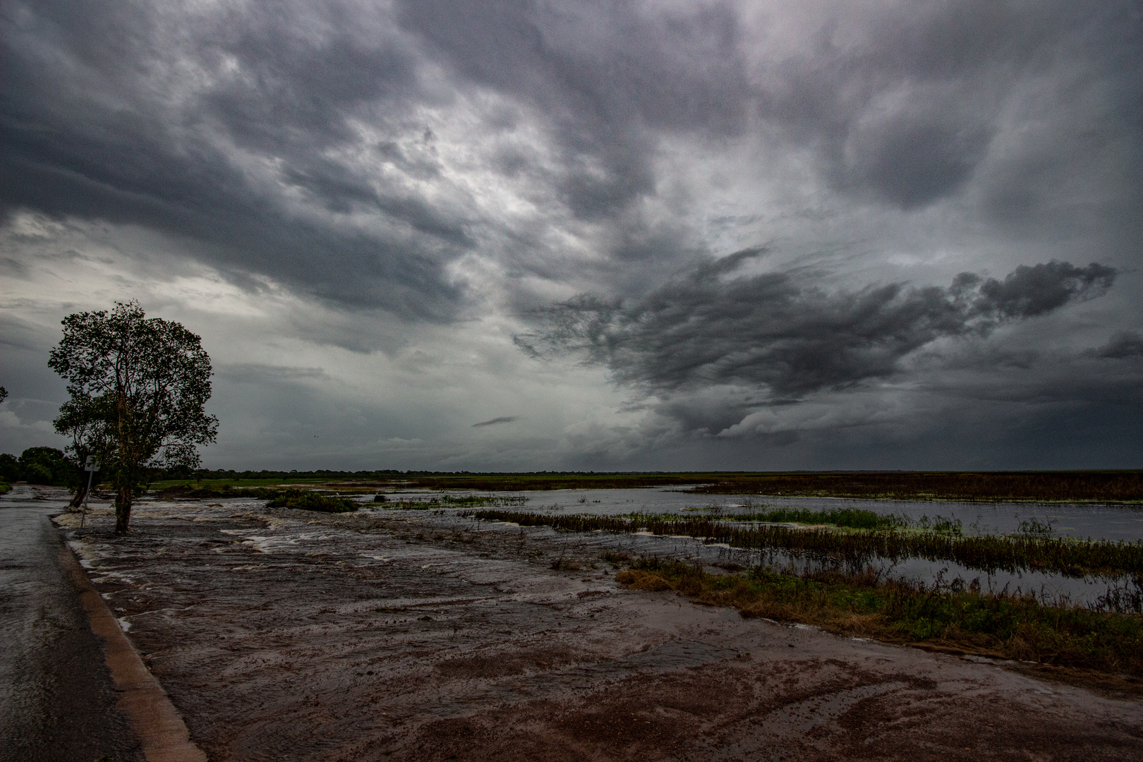 Monsoon Over The Wetlands