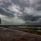 Monsoon Over The Wetlands