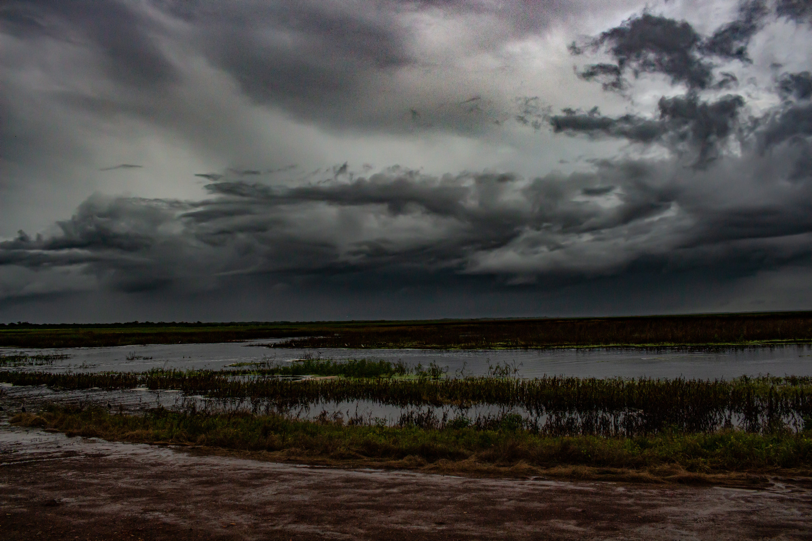 Monsoon Over The Wetlands