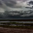 Monsoon Over The Wetlands