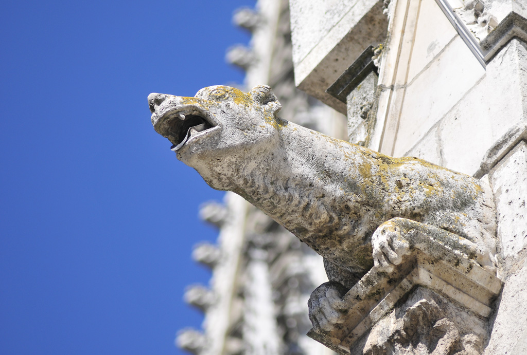 "Monster" am Regensburger Dom