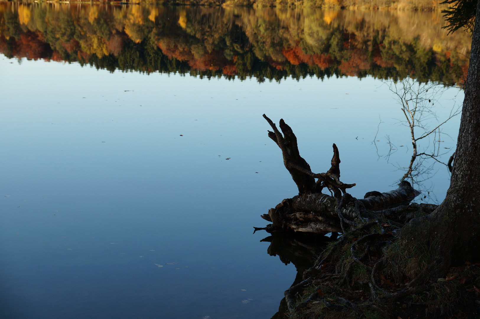 Monster des Steinsee