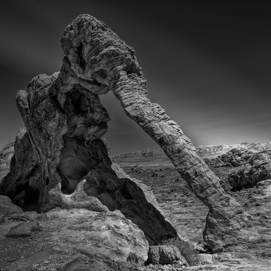 Monster Foto & Bild | art, spezial, weiß Bilder auf fotocommunity