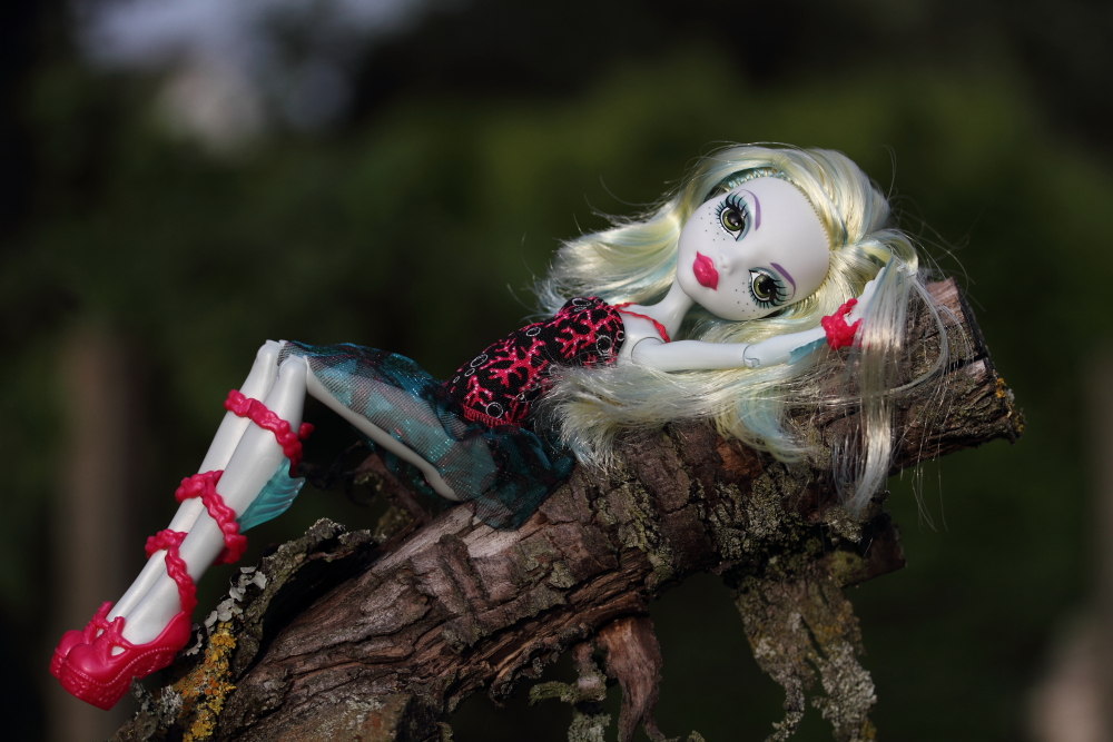 Monster High Dance Class Lagoona Blue Foto Bild Stillleben Spielzeug Puppen Bilder Auf Fotocommunity