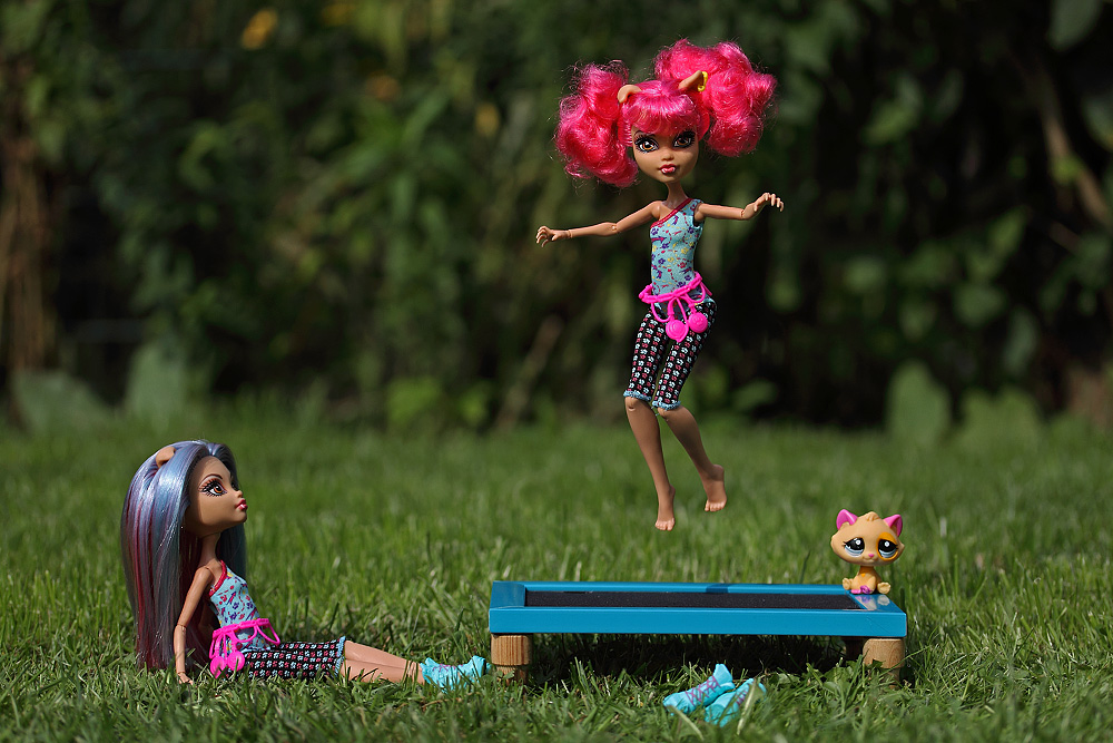 Monster High Howleen Wolf & Reroot