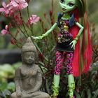 Monster High Venus McFlytrap