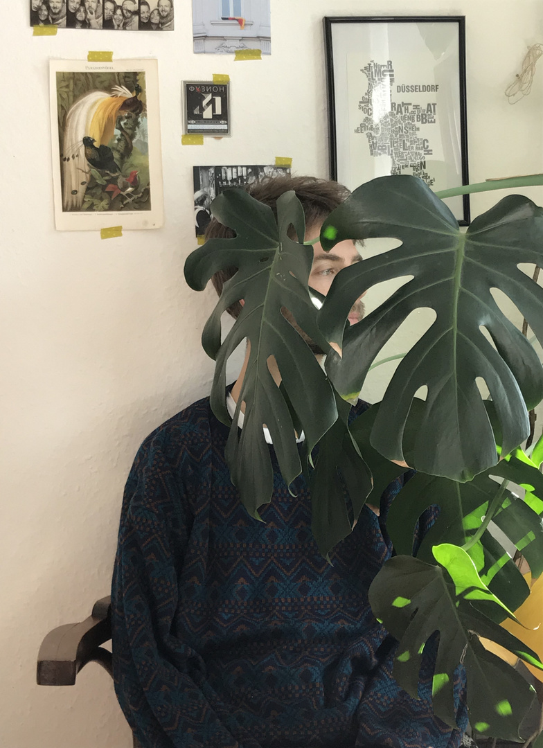 Monstera & Me