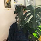 Monstera & Me