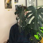 Monstera & Me