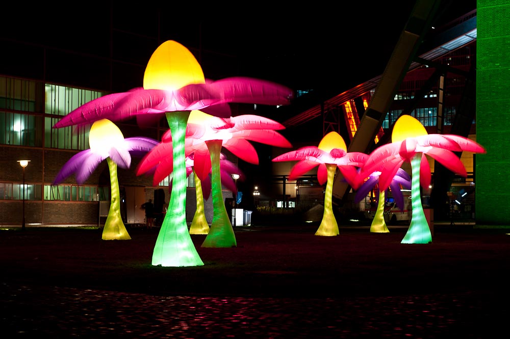 Monsterleuchtblumen im Industriepark