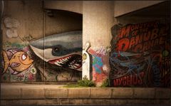 Monsters of the Danube Canal