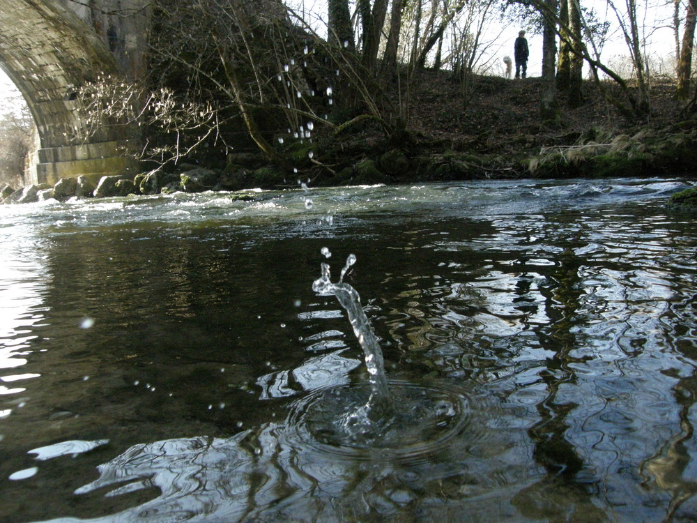 monstre du loch ness