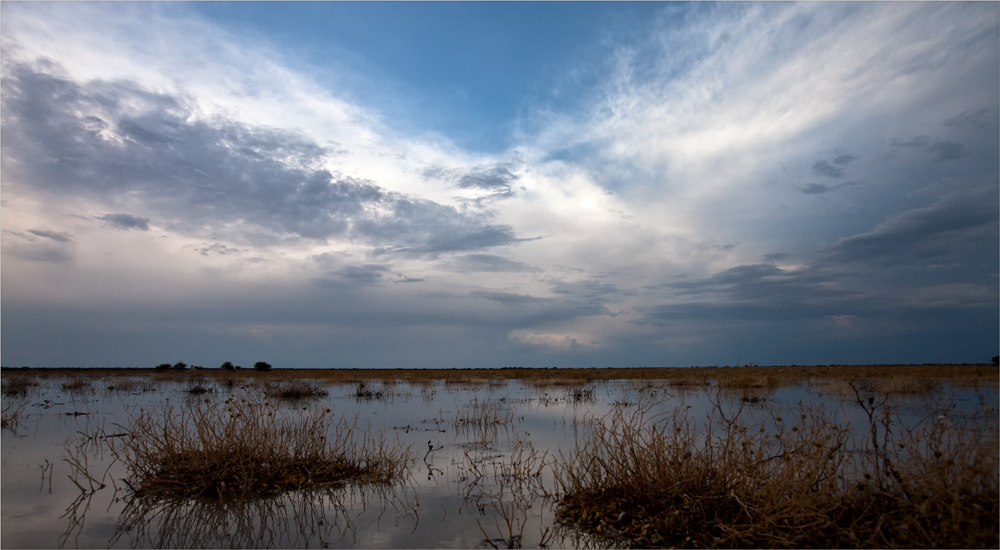 Monsun in der Etosha...