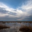 Monsun in der Etosha...