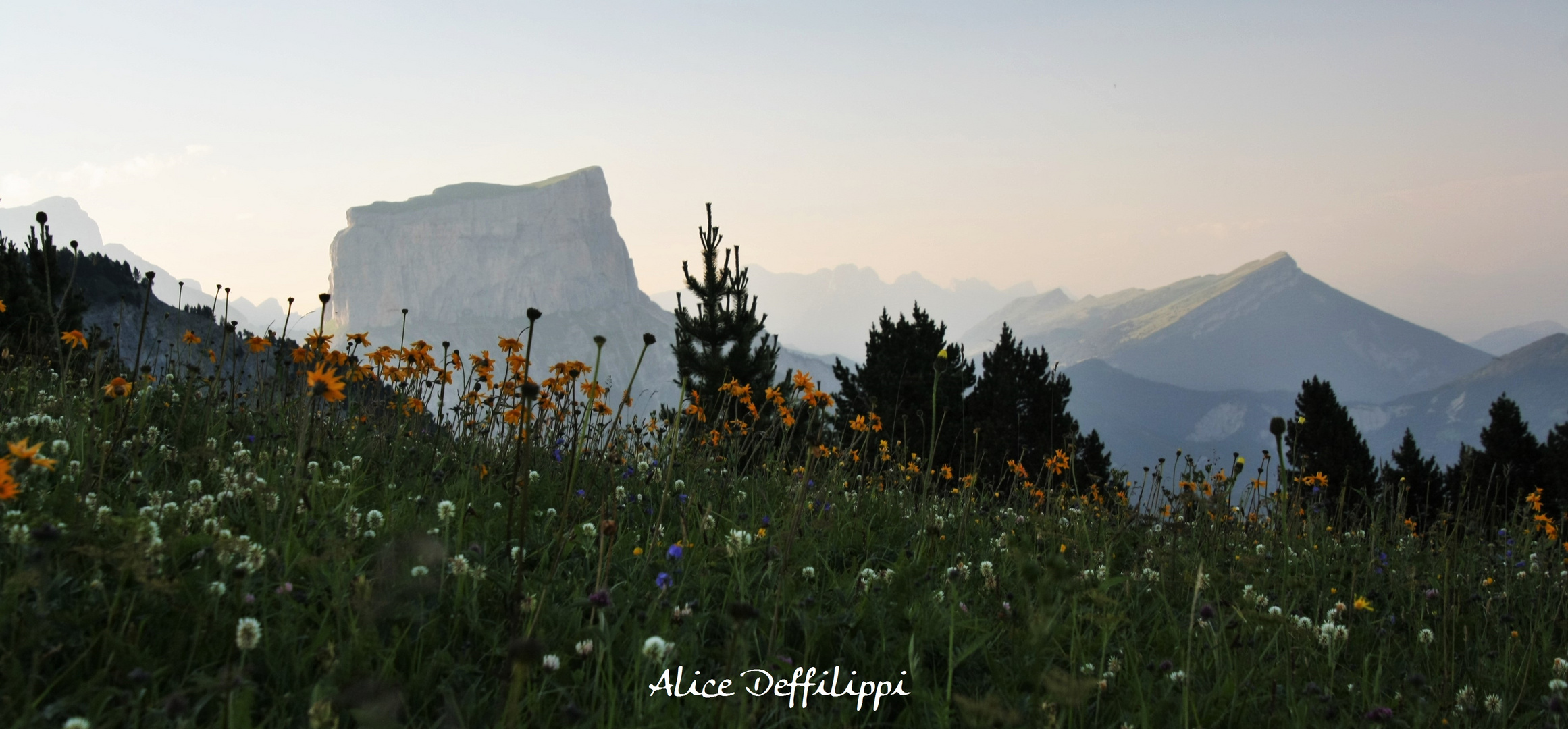 Mont Aiguille depuis Vallon de Combeau