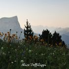 Mont Aiguille depuis Vallon de Combeau