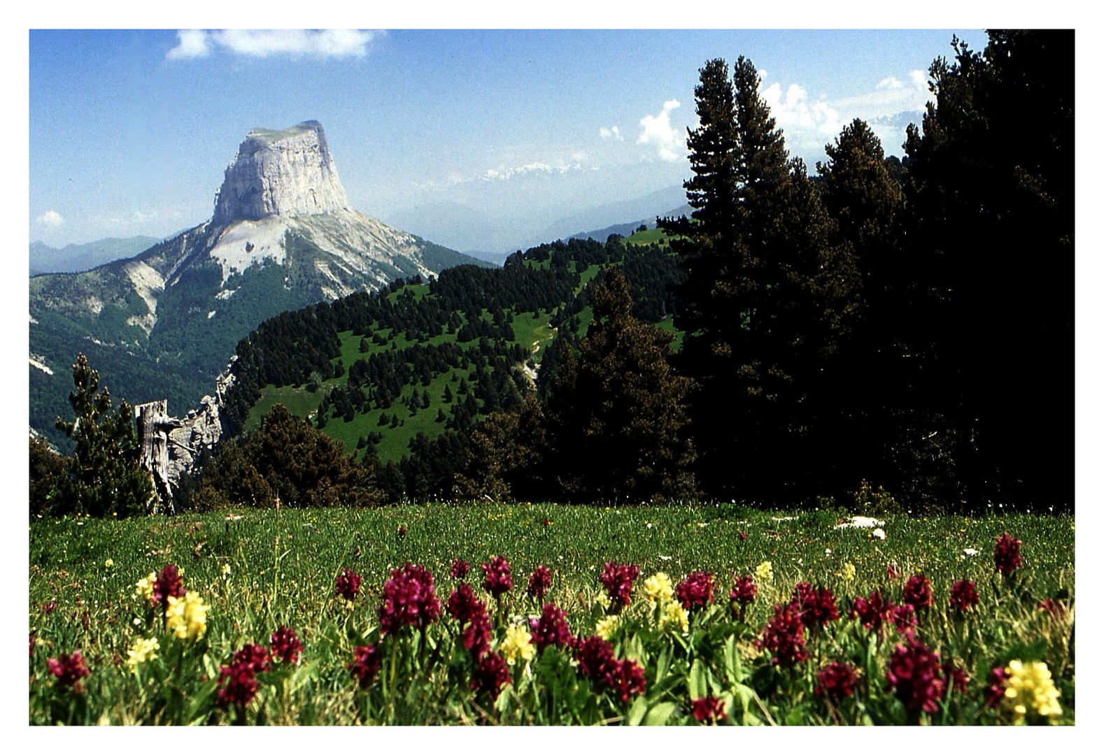 Mont Aiguille