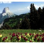 Mont Aiguille