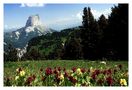 Mont Aiguille de fotograf69 