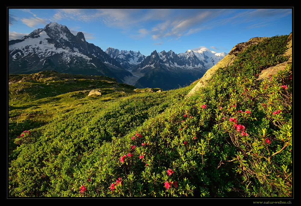 Mont Blanc