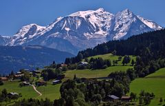 mont blanc et paturages