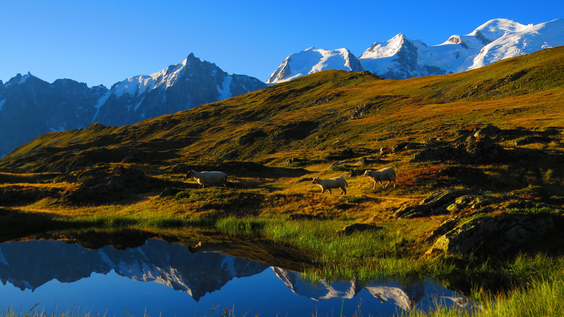 Mont Blanc und Aiguille du Midi von den Lacs de l`Aiguillette