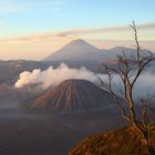 Mont Bromo