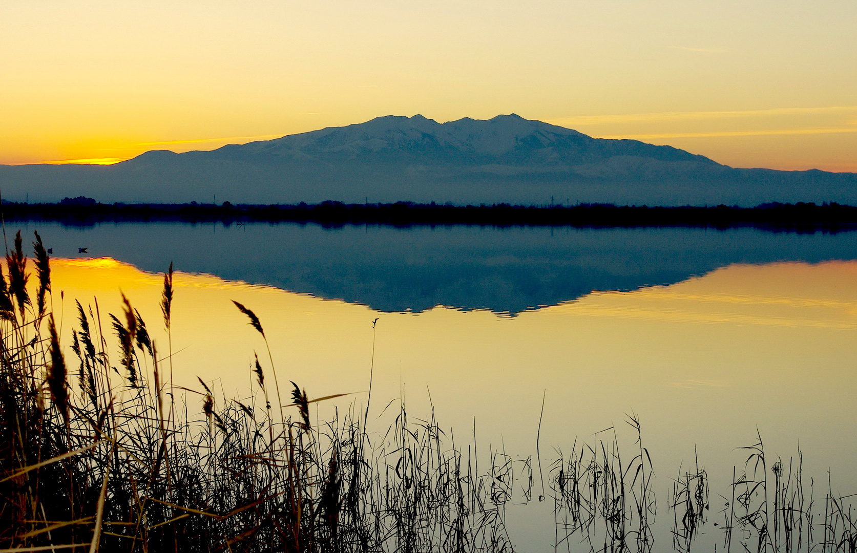 Mont Canigou depuis les étangs