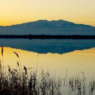 Mont Canigou depuis les étangs