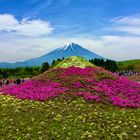 Mont Fuji