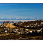 Mont Lozère, ...